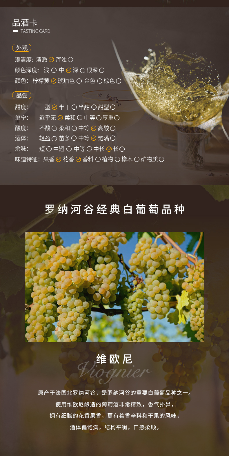 亚历士赞歌-维欧尼白葡萄酒-新标_04.jpg