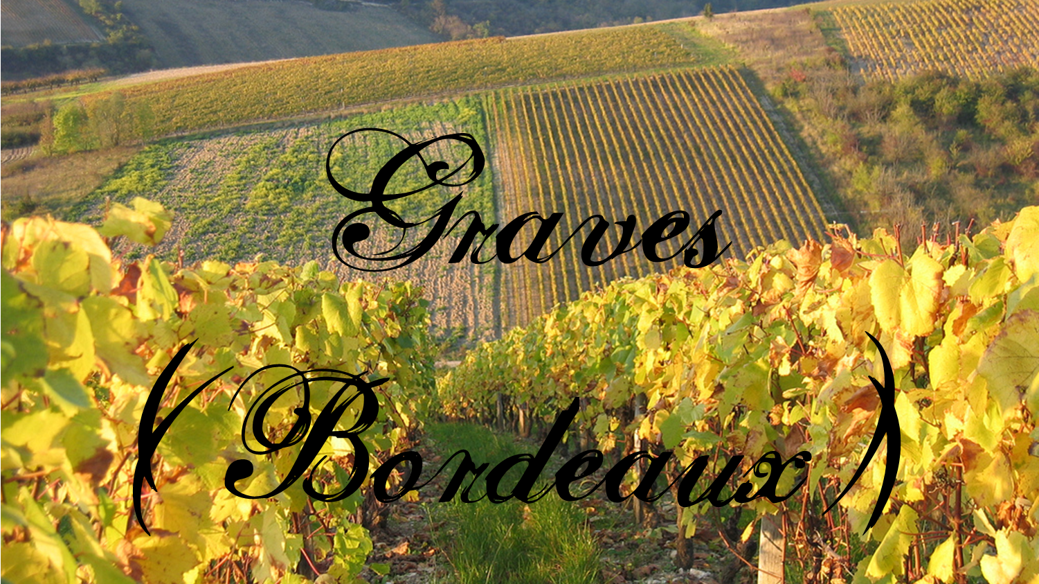 Région-viticole-graves-bordeaux.png